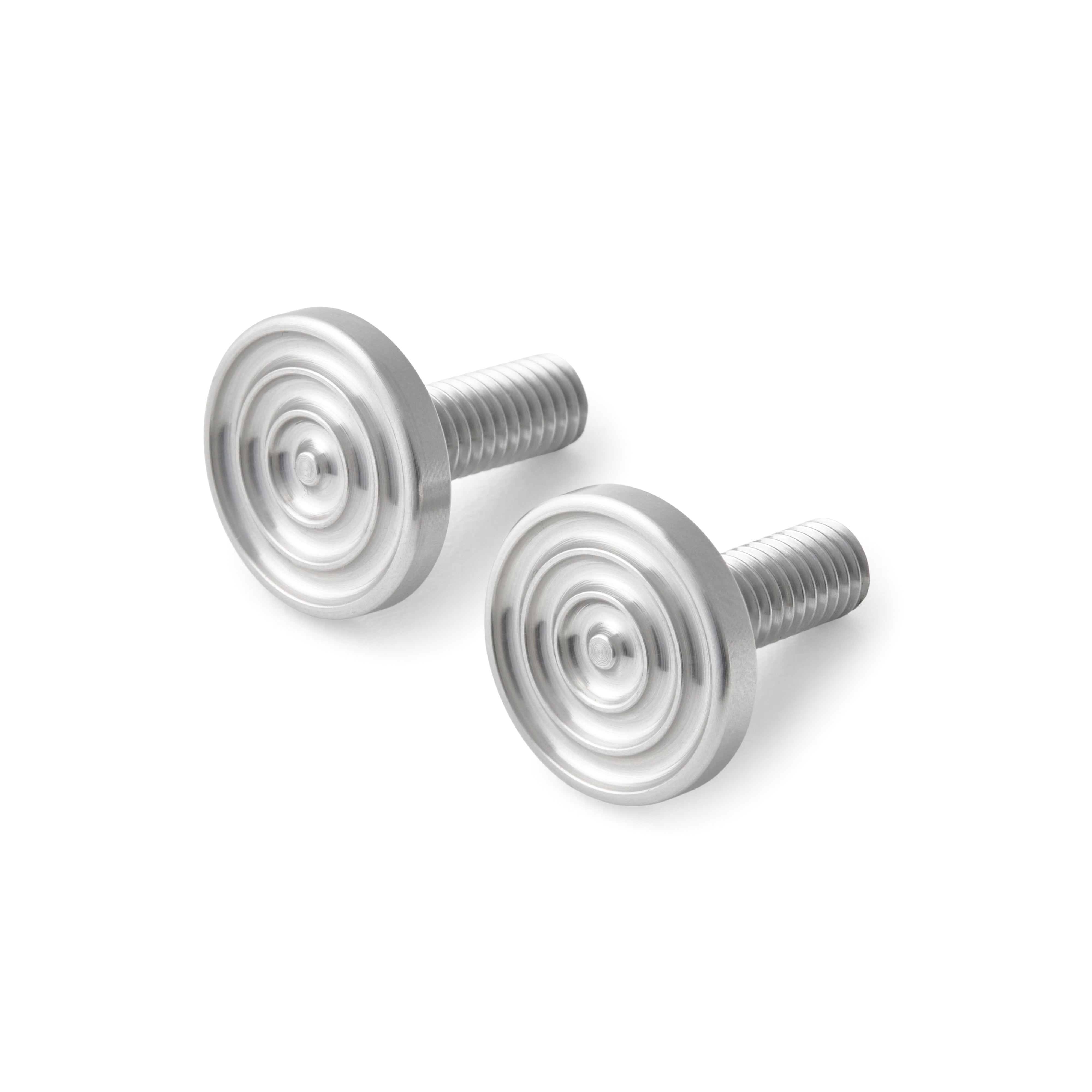 Radial style Motorcycle License Plate Bolts M6 Stainless 10 bolts